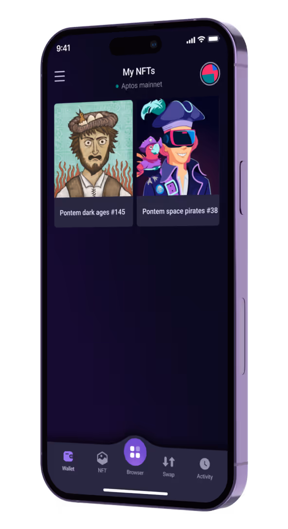 pontem app